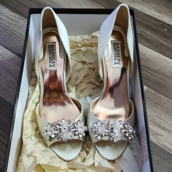 Badgley Mischka Shoes - Badgley Mischka GIANA embellished wedding/special occasion shoes cream size 7